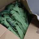 Artificial Boston Fern Bush - Set of 2 45Inch Fake Ferns with 55 Fronds, Large Hanging Faux Plants Decor, UV Resistant Faux Fern Vines Silk Greenery for Outdoor Indoor, Porch, Farms, Patio