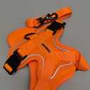 No Pull Dog Harness with Leash Set for Small Sized Dog, Reflective Adjustable No Choke Front Clip Cat Vest Harness with Breathable Mesh, Comfortable Soft Padded Pet Vest, Orange S (S (Neck 8.63-11.78'' Chest 9.42-13.35''))