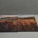 Vintage Framed Canvas Wall Art Farmhouse Landscape Wall Decor Moody Art Prints Home Decorations Maroon Wildflower Scenery Paintings for Living Room Bedroom Office Decor 12x16in Ready to Hang (Retro Field)