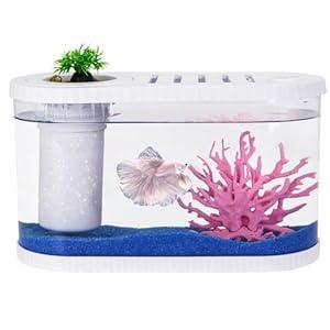 2.2 Gallon Fish Tank Kits,Small Aquarium Starter Kit,Nano Desktop Tank with Quiet Filter, Lid,ColorChanging Light&Decor for Betta Shrimp Guppy Jellyfish Goldfish Beta(12.6 * 7 * 5.6 Inch)