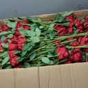 VEVOR Artificial Flowers, 500 pcs Real Looking Red Foam Fake Roses Bulk, Faux Red Bridal Shower with Stems for DIY Wedding Bouquets, Home Centerpieces Arrangements, Party Tables Decorations