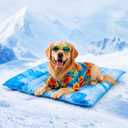 Dog Cooling Mat 2.0, Double-Sided Non-Slip Pet Cooling Pad, Washable and Durable, Indoor & Outdoor Summer Cooling Mat for All Pets, Keep Dogs and Cats Cool and Comfortable (29.5" x 29.5")