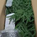 4FT Pre-Lit Artificial Norfolk Pine Christmas Tree  Realistic Potted Tree with 100 LED Lights & 8-Function Battery Box, Pre-Assembled Faux Holiday Dcor for Indoor Use (2)