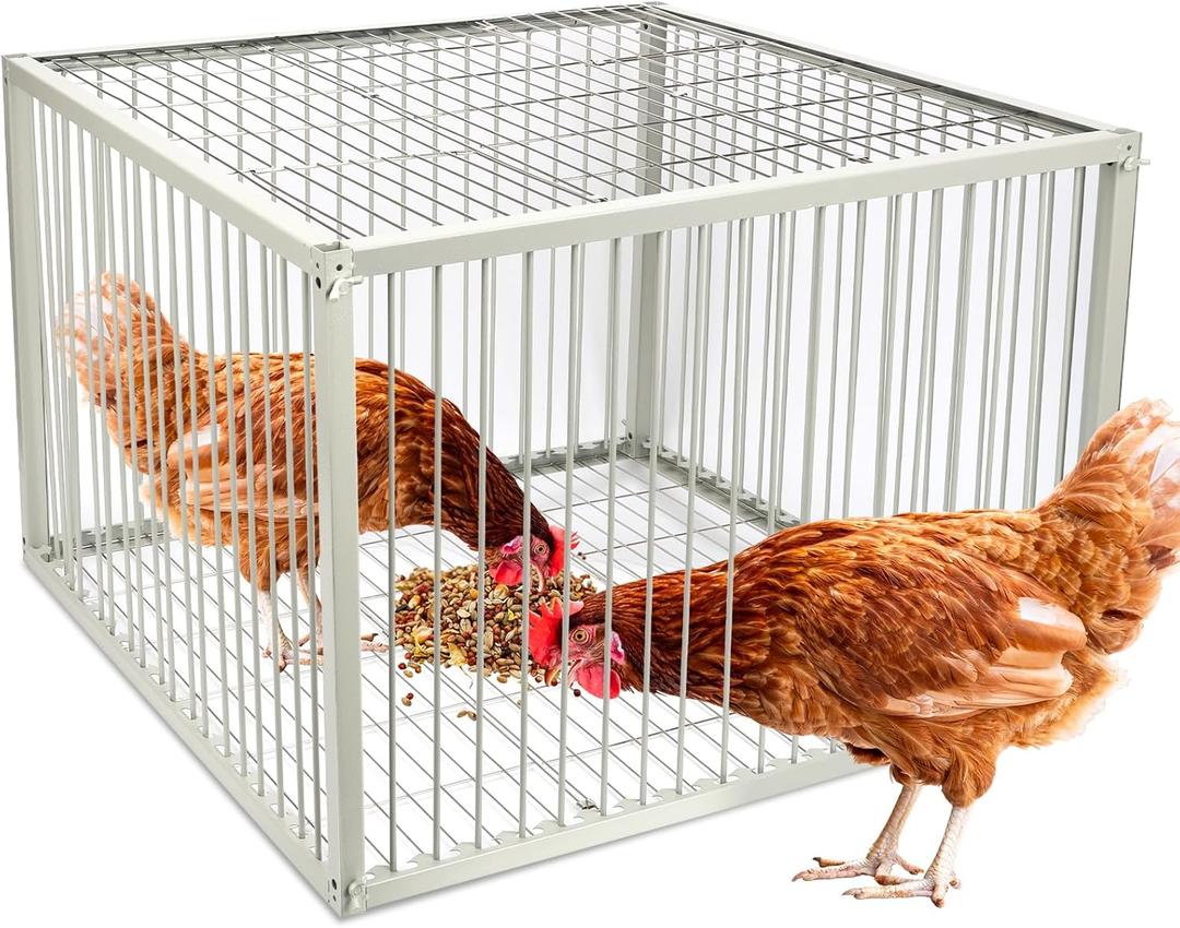 Heavy-Duty Pigeon Trap Cage with Escape-Proof Design Auto Bird Traps for Large Birds | Chicken, Duck, and Turkey Traps.Iron Powder-Coated Bird Trap Cage for Multiple Birds Rust-Resistant-XLSize