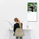 3 x 2026 Panada Wall Calendar | 12" x 24" Open | Animal Photography Thick & Sturdy Paper for Organizing & Planning | Office Kitchen Decor or Gift | Pacific Waters Press (Pandas)