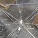 Home-X Clear Bubble Umbrella - Wind-Resistant, Durable Wedding Umbrella - Sturdy Bubble Design, Won't Flip Inside Out - For Men and Women - 1 Pack