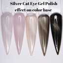 2 x Clear Glitter Silver Cat Eye Gel Nail Polish10ML (magnetic not included)