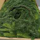 N&T NIETING 9FT Christmas Norfolk Pine Garland Real Touch Pine Artificial Garlands Faux Greenery Garland Winter Christmas Garland for Table Mantle Fireplace Indoor Outdoor Xmas Decorations (1 Pcs)