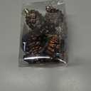 8 Pcs Christmas Pinecone Ornaments, Plastic Hanging Pine Cone Decoration for Tree, Shatterproof Pinecone Balls for DIY Crafts Home Xmas Decor, Matte and Glitter Festive Holiday Pendant