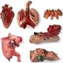 Scary Halloween Party Decorations, Realistic Haunted House Decor, Zombie Vampire Crime Scene Bloody Decorations, Creepy Carnival Props Bloody Props, 6Pcs Fake Dead Body Parts Fingers