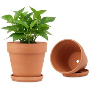 Riseuvo 8 Inch Large Terracotta Pots with Saucers 2 Pack Big Clay Flower Pots with Drainage Hole, Clay Pot for Succulents, Cactus, Indoor, Outdoor Patio and Garden Plants