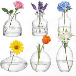 Glass Bud Vases Set of 6, Small Clear Flower Vases for Wedding Centerpiece Vintage Mini Glass Flower Bottles for Floral Arrangement Party Home Office Dining Table Decor
