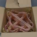 HGYZE Kids Hangers, Plastic Baby Clothes Hanger 50pcs Toddler Hangers, ClearPink Sparkling Hangar with Gold Glitter for Girl Nursery Children Coat Sweater, Small Hanger for Infant Newborn Closet