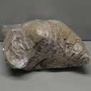 PrinceDeco Velvet Couch Cover Loveseat Covers for 2 Cushion Couch 3 Piece Sofa Covers for Dogs Washable Loveseat Covers Width Up to 72 Inch No Slip Stretch Sofa Slipcover(Medium, Taupe)