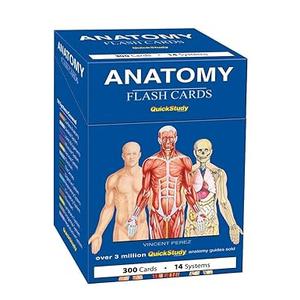 Anatomy Flash Cards: a QuickStudy Reference & Study Tool
