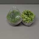 THE BLOOM TIMES 2 Pcs Fake Plants for Bathroom/Home Office Decor, Small Artificial Faux Greenery for House Decorations (Potted Plants)
