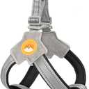 COODEO Anti-Pull Dog Harness with Breathable Mesh Padding, Reflective Strips, Anti-Escape Design, Quick Adjustable Fit for Training & Walking, 2XL