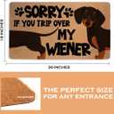 Funny Wiener Dog Door Mat 18x30 Inch, Faux Coco Coir Doormat with Non-Slip PVC Backing, Cute Dachshund Printed Welcome Mat for Outdoor Indoor Entryway Porch Home, Dog Lover Gifts for Women 1