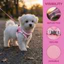 Dog Harness with Leash Set, No Pull Adjustable Reflective Step-in Puppy Harness with Thickened Padded Vest for Extra-Small/Small Medium Dogs (Pink, Medium)