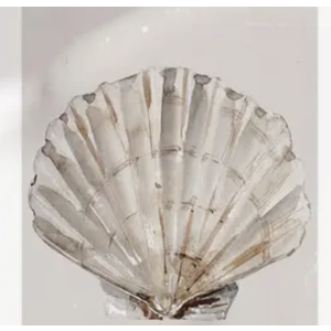 Vintage Scallop Shell New View Coastal Wall Art Featuring a Seashell Print in a Wooden Frame.