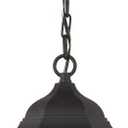 Generation Lighting 60938-12 1-Light Bakersville Traditional Outdoor Pendant Light Fixture Black 60938-12, Modern Ceiling Light Fixture for Home Dcor, Outdoor Light Fixture for Porch Dcor