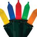 Brite Star 50 Lt Warm Glow Traditional Mini LED Lights, Multi, Green Wire