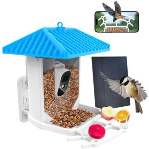 Smart Bird Feeder Camera with AI Species ID - 2K HD Wireless, Solar Powered Motion Activated Outdoor Bird Cam with 2L Capacity