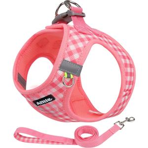 AIITLE No Pull Dog Harness and Leash Set, Step in No Chock Soft Mesh Dog Harnesses Reflective for Extra-Small Puppy Dogs and Cats, Plaid Dog Vest Harness for Pets Watermelon XXS