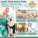 Dog Elbow Protector Brace, Dog Leg Sleeves Anti-Licking for Arthritis, Hygroma, Pressure Sores, and Calluses, Dogs Elbows Pads & Shoulder Brace for Elbow Dysplasia and Injury Recovery, Left XL