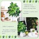 Daifunli 6 Pcs 19 Inch Artificial Greenery Branches Faux Money Tree Leaves Fake Greenery Decoration for Table Centerpieces Wedding Home Office Decor Feng Shui Decoration, Without Pot