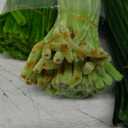 Harmoso Green Color Trio Pipe Cleaner Set - 300pcs, Thick Fluffy Chenille Stems for Arts & Crafts, Perfect for Making Animals, Flowers, and Festive Decorations(12 inches x 0.24 inches)