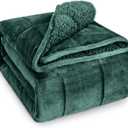 Wemore Sherpa Fleece Weighted Blanket for Adult, 20 lbs Dual Sided Cozy Fluffy Heavy Blanket, Ultra Fuzzy Throw Blanket with Soft Plush Flannel Top, 60 x 80 inches, Green on Both Sides