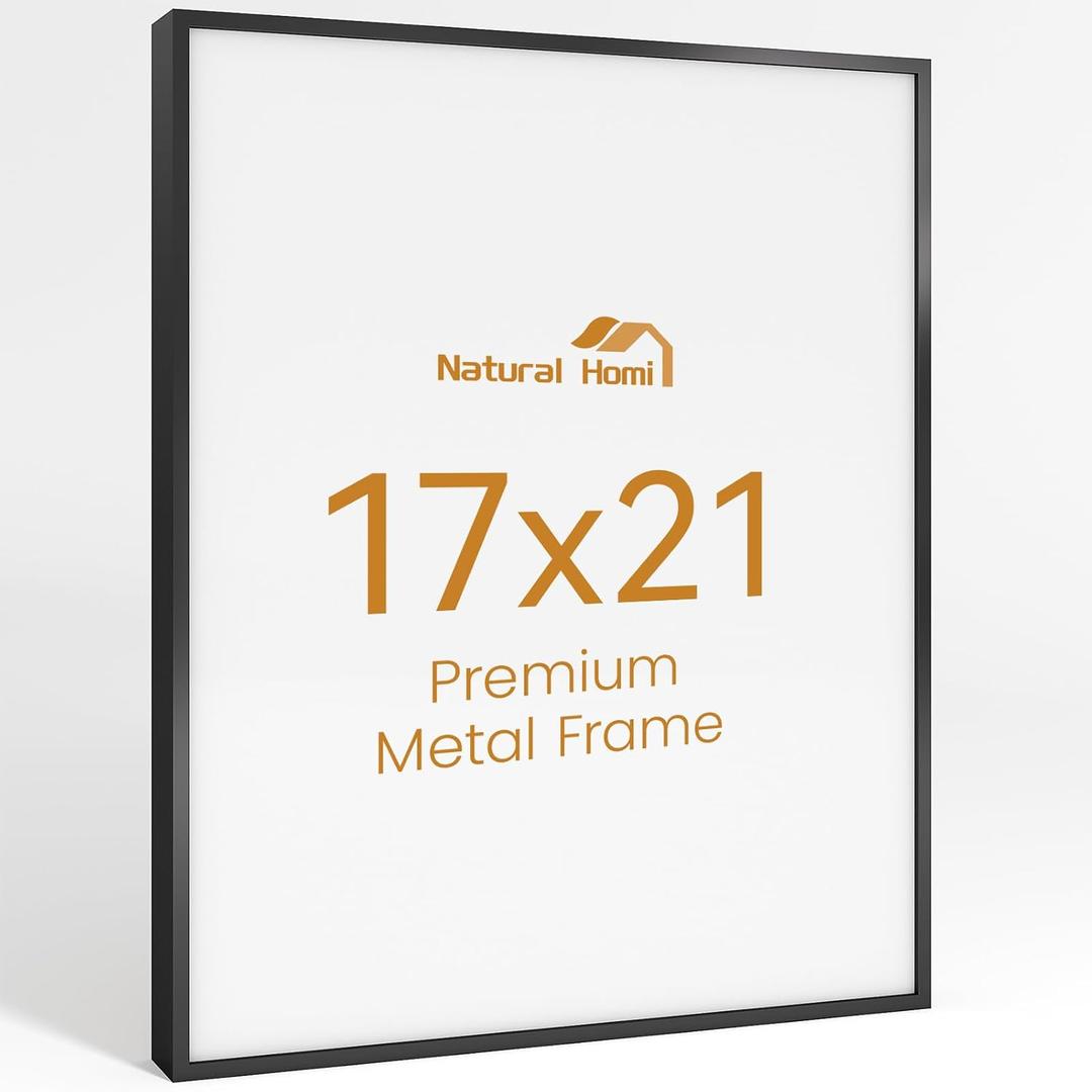 17x21 Aluminum Metal Picture Frame,Tempered Glass Black Photo Frame 17x21 for Family Photo,Posters,Art,Document to Wall Mount Horizontally or Vertically