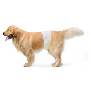 Basics Male Dog Diapers, 30 Count, Large, Ultra Absorbent Disposable Wrap with Secure Fit, Leakproof and Comfortable