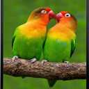 Mxtallup 21x24 Picture Frames Solid Wood Poster Frame for Wall 21x24 Photo Frames Family Black (T22B2124)