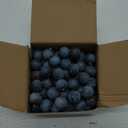 100Pcs Artificial Blueberry Fake Blueberries DIY Fruit Decor Craft Model Lifelike Plate Basket Plant Living Room Dinning Table Cabinet