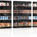 Derkymo Old Styled Snow Ski Canvas Wall Art Rustic Snowboards Picture Artwork Framed for Home (12"x16"x3pcs)