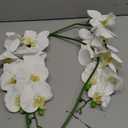 Fnize Orchid Stems Artificial Flowers Real Touch Latex Faux Phalaenopsis Branches 9 Large Blooms 38 Inches 2pcs White