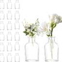 20 Pcs Glass Bud Vase in Bulk, Clear Mini Flower Vases for Centerpieces, Glass Bottles Table Decoration for Party, Wedding, Housewarming, Christmas, Birthdays, Home Decor