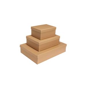 Douaowoc 3 Pcs Gift Boxes with Lids, Set of 3 Empty Wrap Boxes, Nesting Box for Gift Presents Cardboard Box for Christmas,Birthday, Anniversaries, Weddings and Any Occasion (13x9.8)