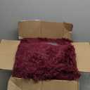 Burgundy Plush Rug for Living Room Fuzzy Carpet for Bedroom Dorm, Non-Slip High Pile Rug, Shag Rug for Playroom Nursery Home Office Decor 6X9 Ft