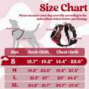 Rabbitgoo Dog Harness Small Sized, No Pull Pet Harness with 3 Buckles, Adjustable Soft Padded Vest with Control Handle, Walking Reflective Pet Vest for Small Dogs, Red, S