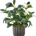 florisso Artificial Succulents with Fig Leaf Greenery in Black & Gold Planter, Fake Succulents Potted Decor for Farmhouse, Bathroom, Bedroom, Kitchen, Office Desk and Coffee Table (Black Gold)