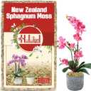 Halatool Premium New Zealand Sphagnum Moss, 200g(16L When Hydrated), for Orchid Repotting Succulent Sarracenia Potted Plants Gardening & Reptiles