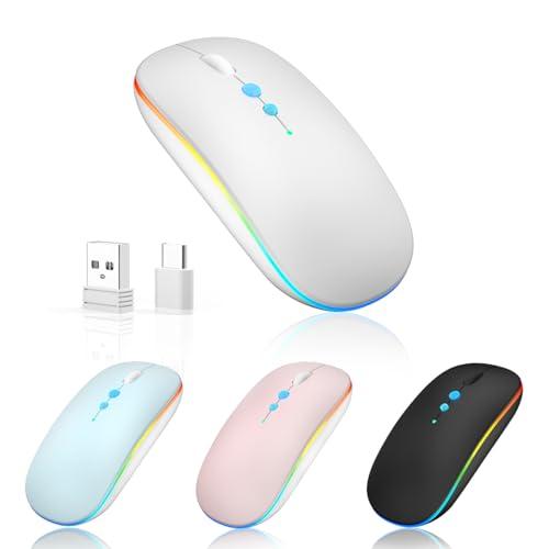 Halpilt LED Wireless Mouse A100S Rechargeable Portable Silent Mouse with Optional USB and Type-C Receiver 3-Speed Adjustable DPI for PC/Mac/Laptop (Frosted Silver)