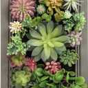 3D Artificial Succulent Wall Art DIY Floral Framed Fake Flowers Arrangement Wall Decor for Room Decoration Background Living Outdoor Balcony Porch (Size 1, Colorful)