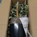 Artificial Fake Olive Tree 4FT Tall 1Pack Faux Silk Olive Tree for Home Living Room Office Decor Faux Artificial Plants Indoor Fake Potted Plants with Fruit & Free Moss