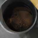 Ashley Hearth AW1820E 1,200 Sq. Ft. Wood Stove Insert , Black