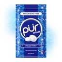 4 x PUR Mints, Polar Mint, Xylitol Mints, No Artificial Flavor, 65 Count (EXP 03/29/29)
