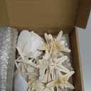24PCS Sea Shells for Crafts Decoration - Real White Natural 2"-5" Scallop Shells and Starfish Coastal Christmas Craft Supplies, Beach Party, Painting, Easter DIY, Vase,Baking Shells, Birthday Gift